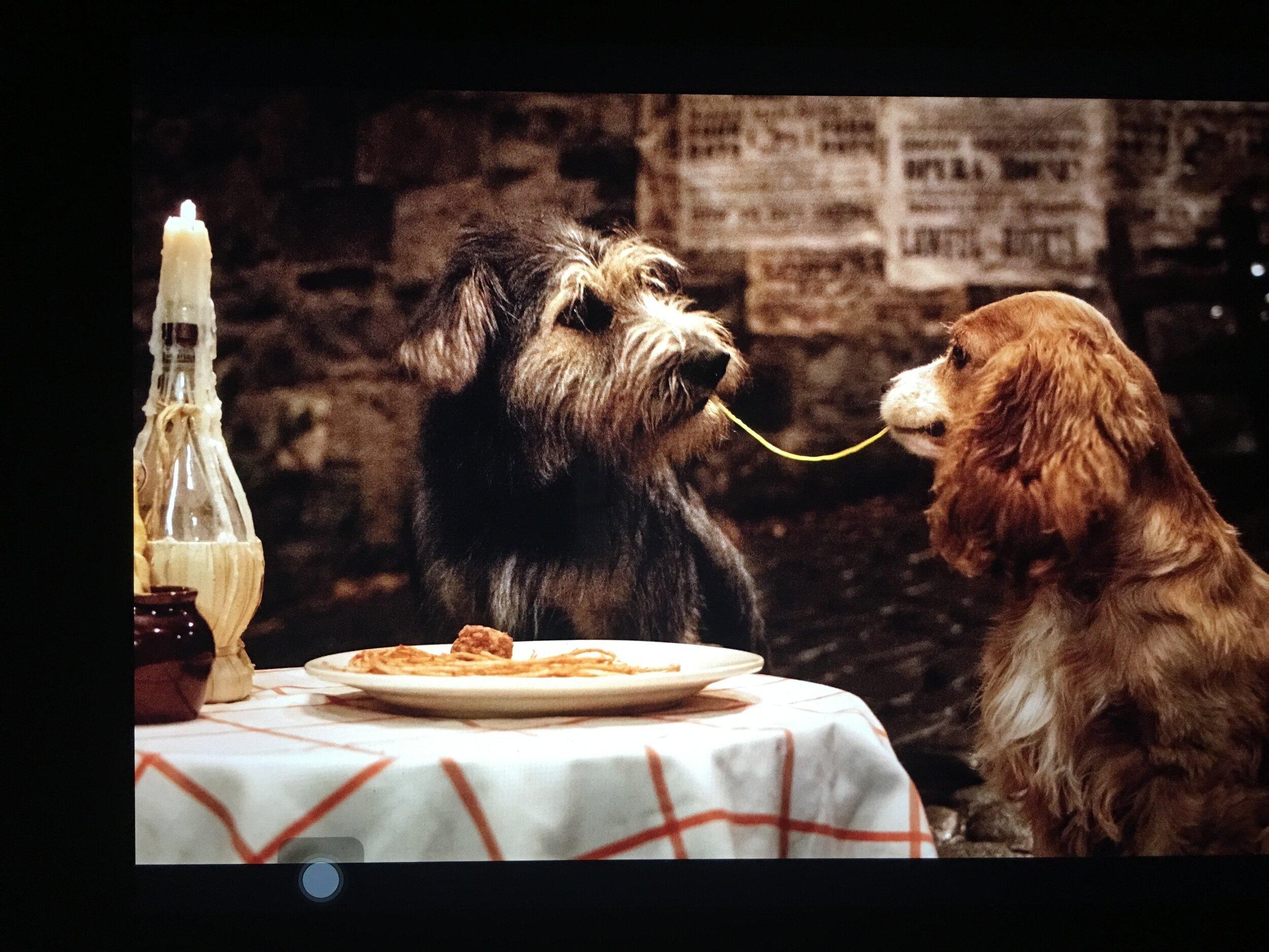 Lady & The Tramp shooting