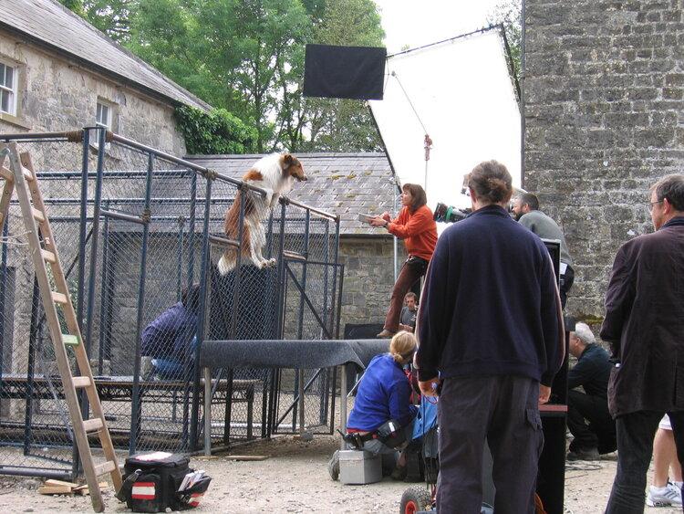 Mathilde with one of her movie dogs